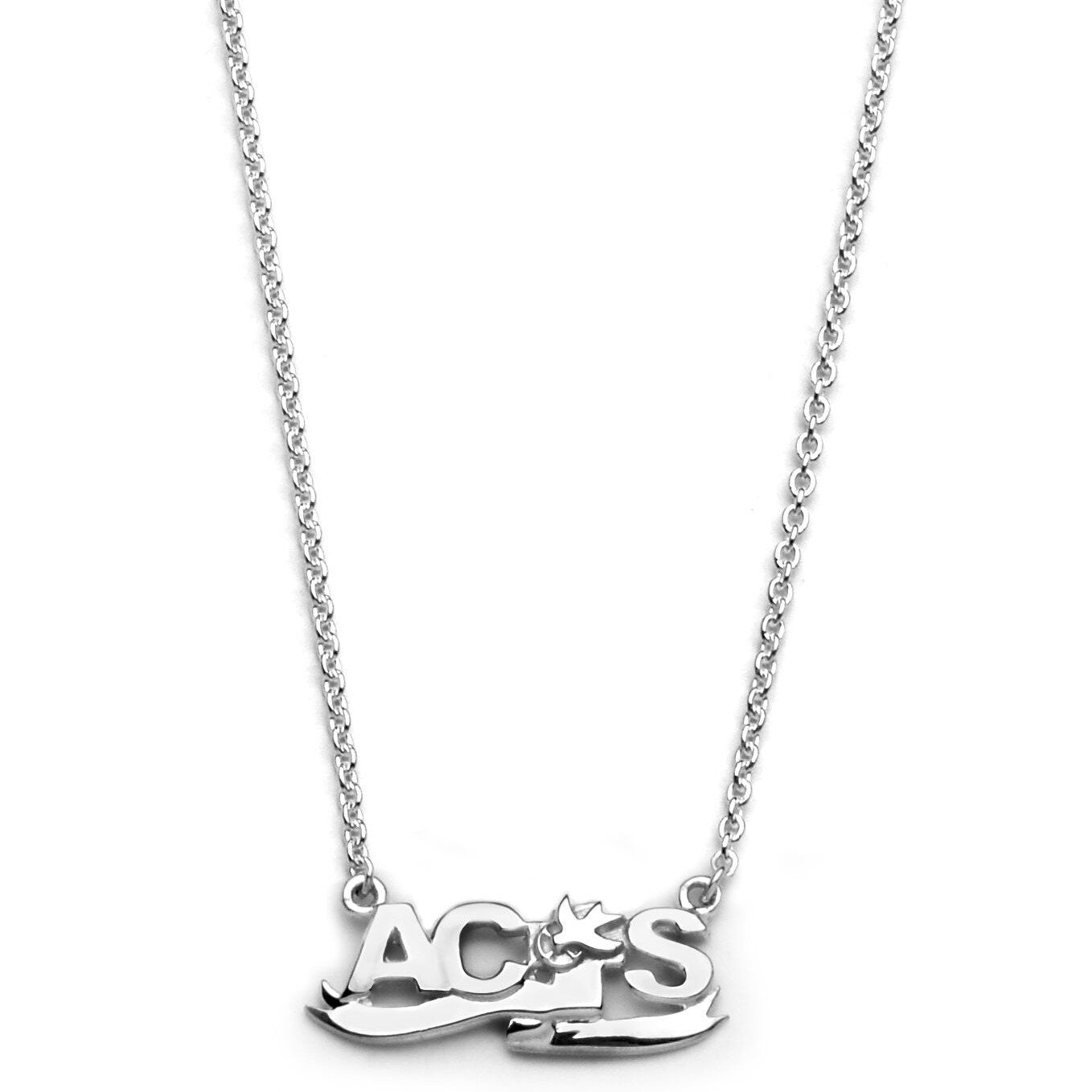 ACTS Fashion Necklace